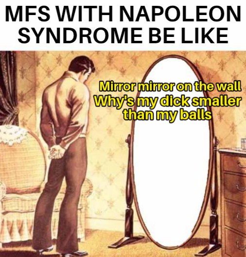 a meme of a cartoon guy standing in front of a mirror, and the meme says, mfs with napolean syndrome be like, mirror mirror on the wall, why's my dick smaller than my balls.
